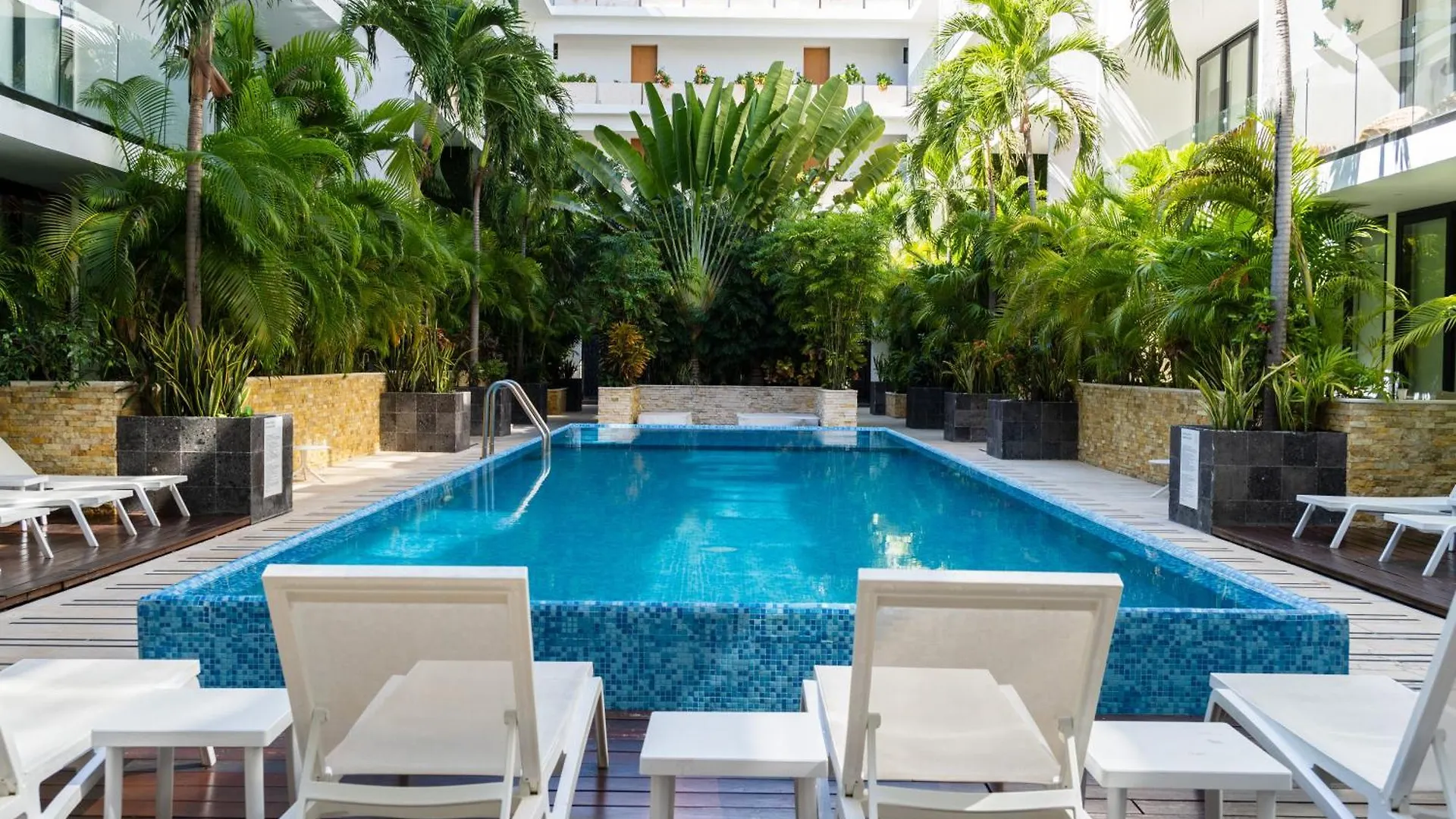 Acogedor Y Hermoso Estudio En La Mejor Ubicacion De Playa! By Yeah Playa del Carmen 0*,
